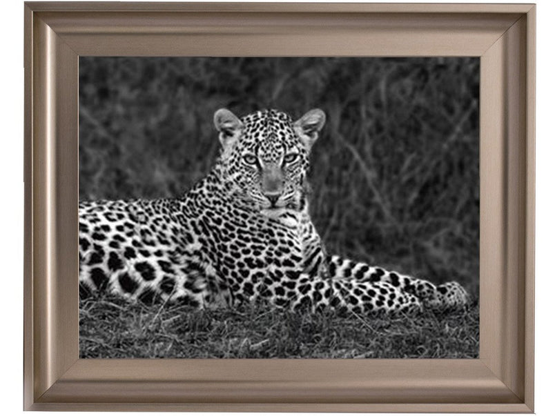 Leopard Monochrome