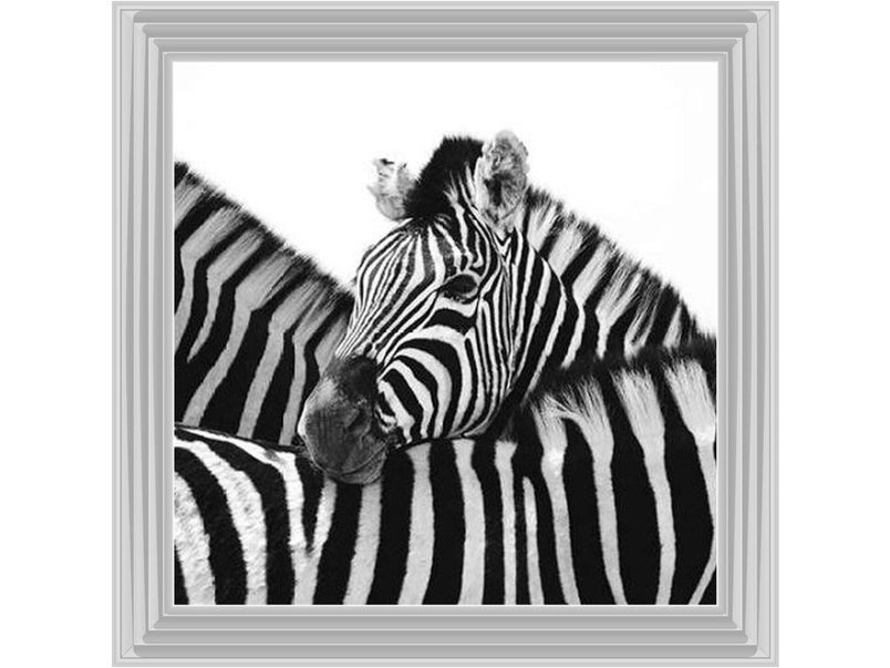 Zebra Hug