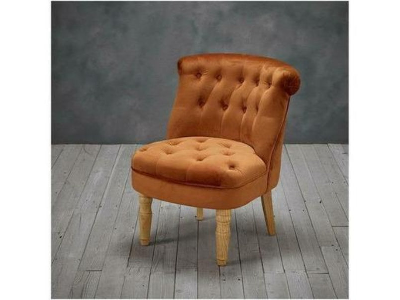 Charlotte Plush Velvet Chair