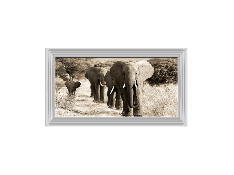 Herd of African Elephants - Kenya
