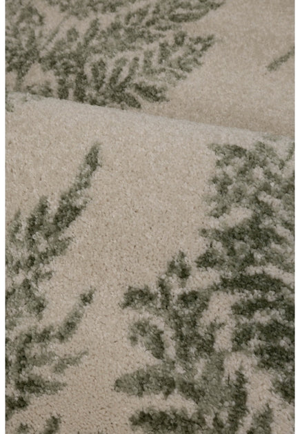 echo-fern-green-overhead_01