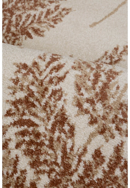 echo-fern-terracotta-overhead_01