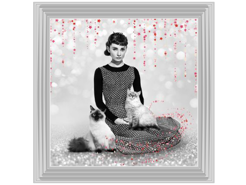 Audrey and cats