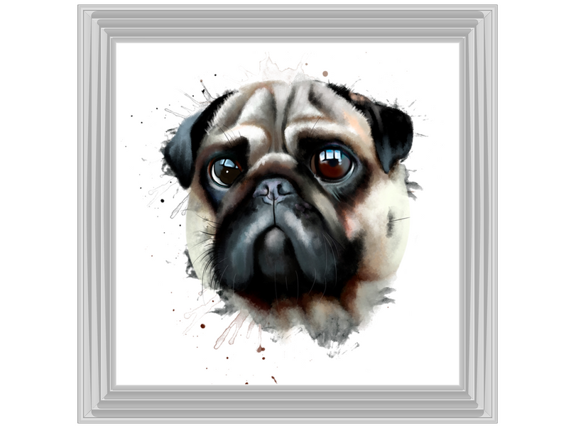 Portrait of a pug dog watercolor illustration