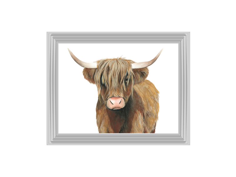 Highland Cattle II