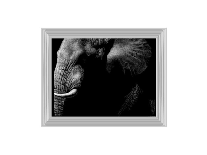 Wildlife Scratchboards III