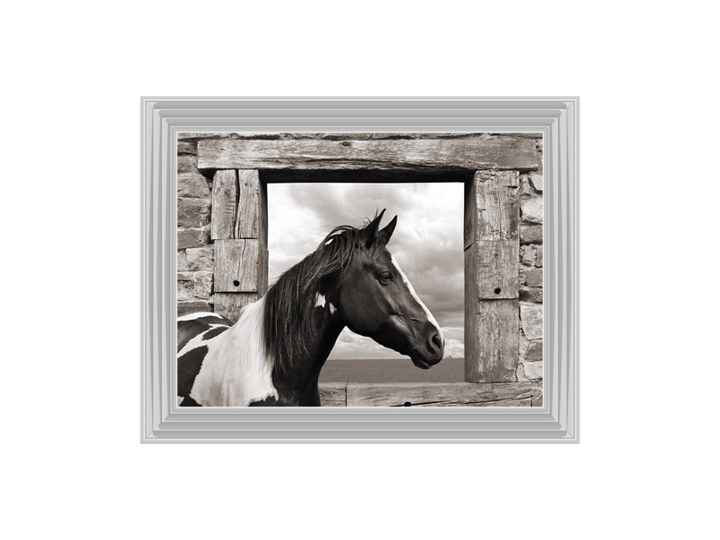 Painted Horse (BW)