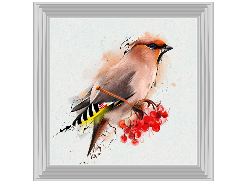 The Waxwing, a songbird of passerine.