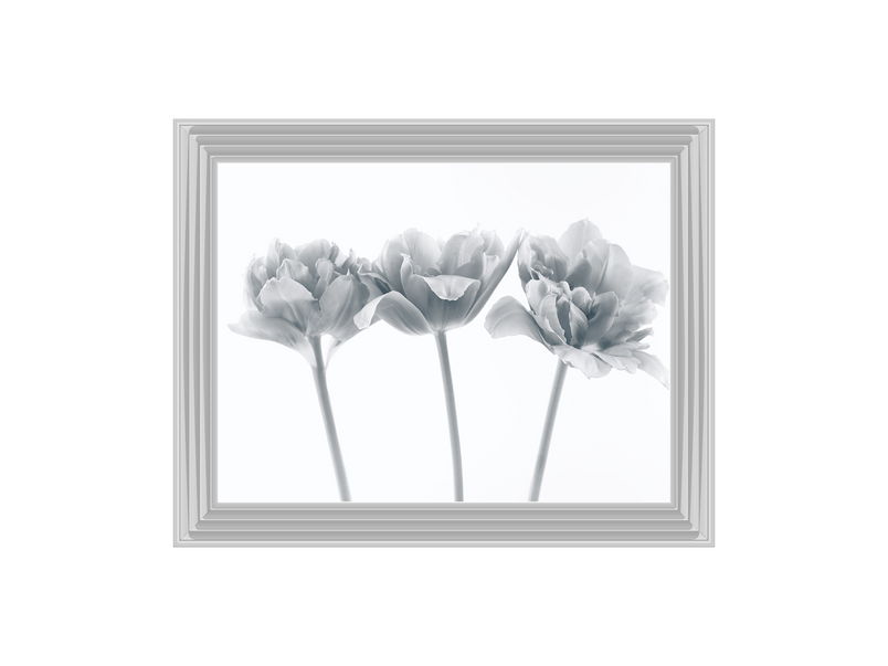 Set of 3 flowers II