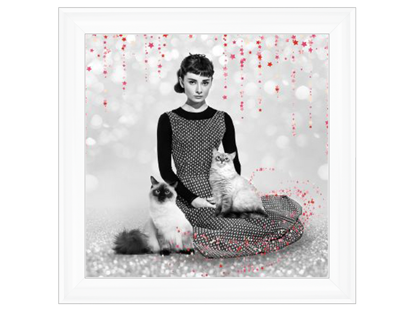 Audrey and cats