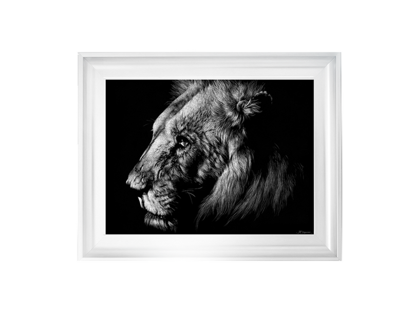 Wildlife Scratchboards I