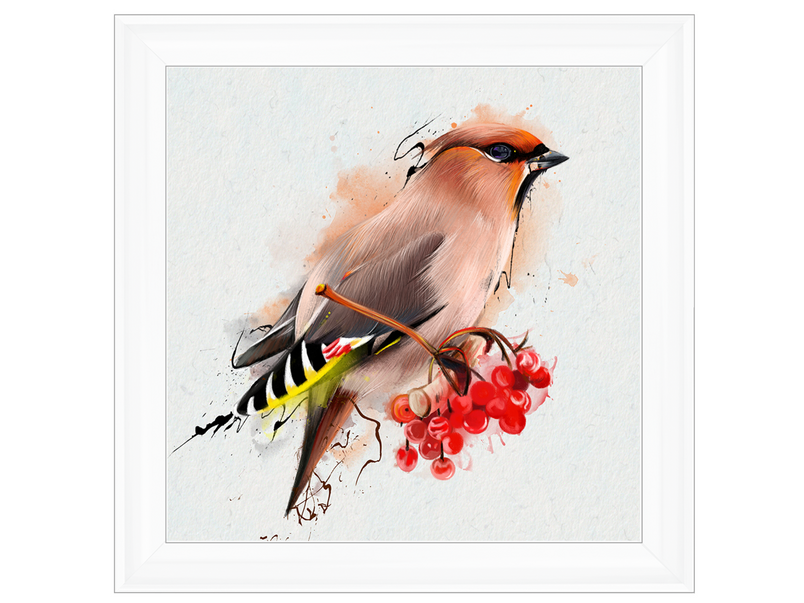 The Waxwing, a songbird of passerine.