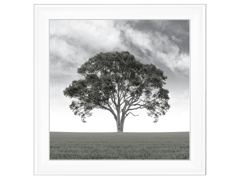 Lone Tree 1