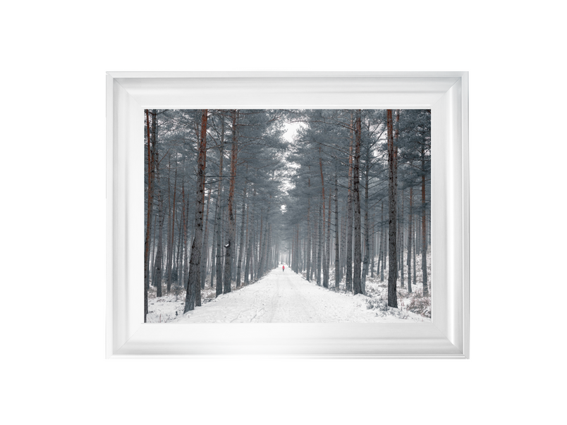 Pathway through snowy forest