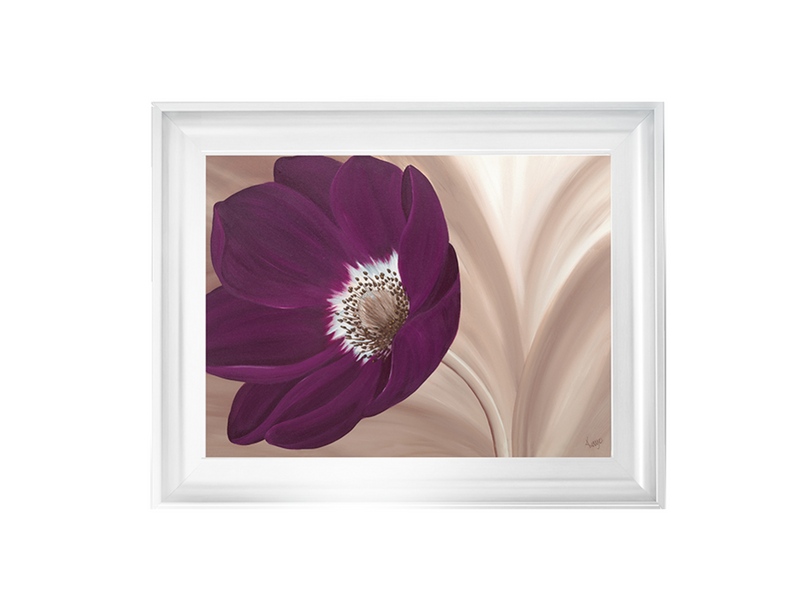 Velvet Anemone