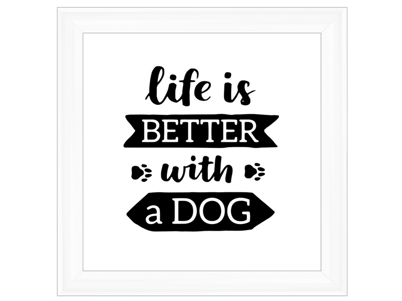 Life is better with a dog