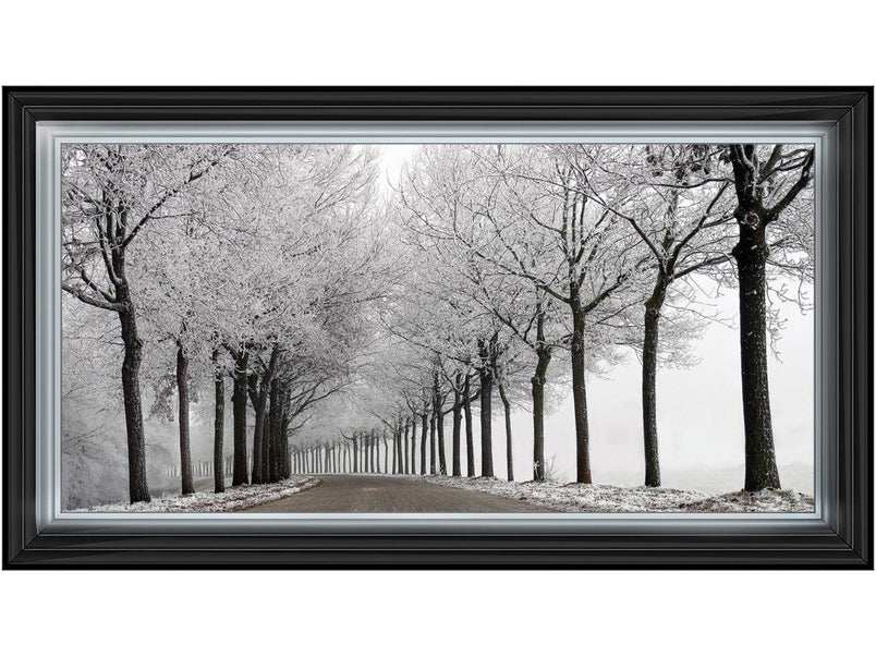 Trees in Winter Road Monochrome