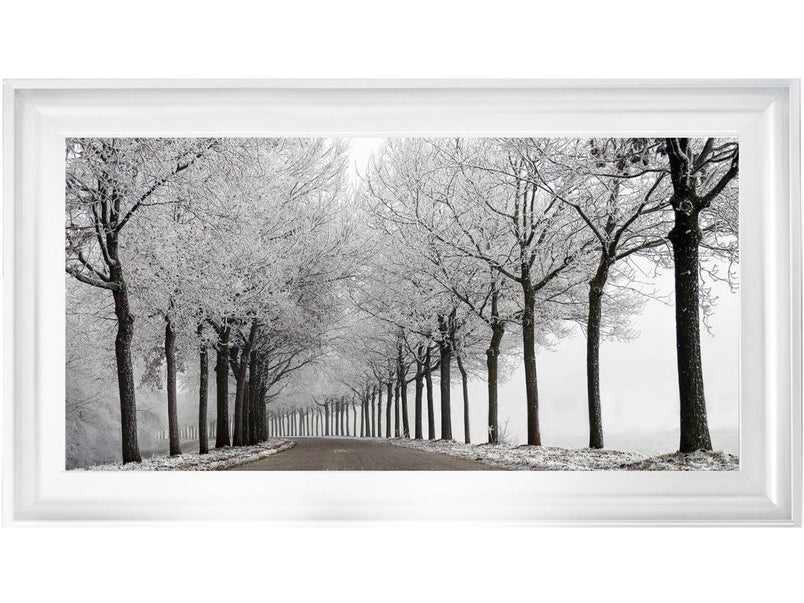 Trees in Winter Road Monochrome