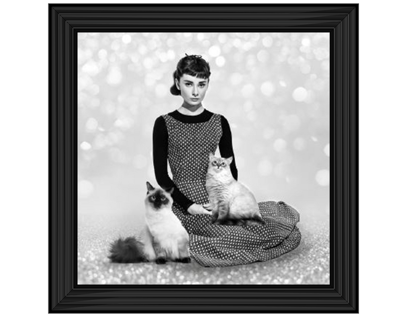 Audrey and cats II