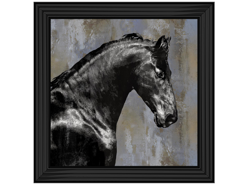 Black Stallion by Martin Rose