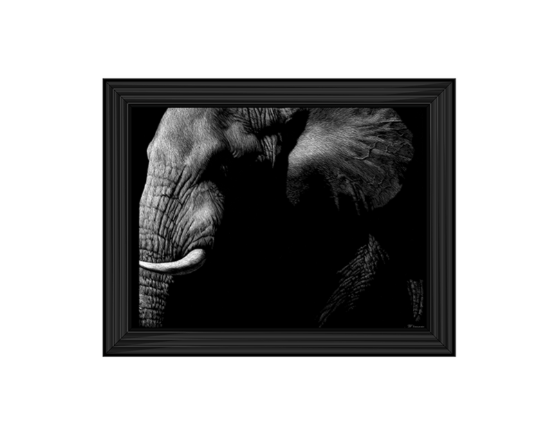 Wildlife Scratchboards III