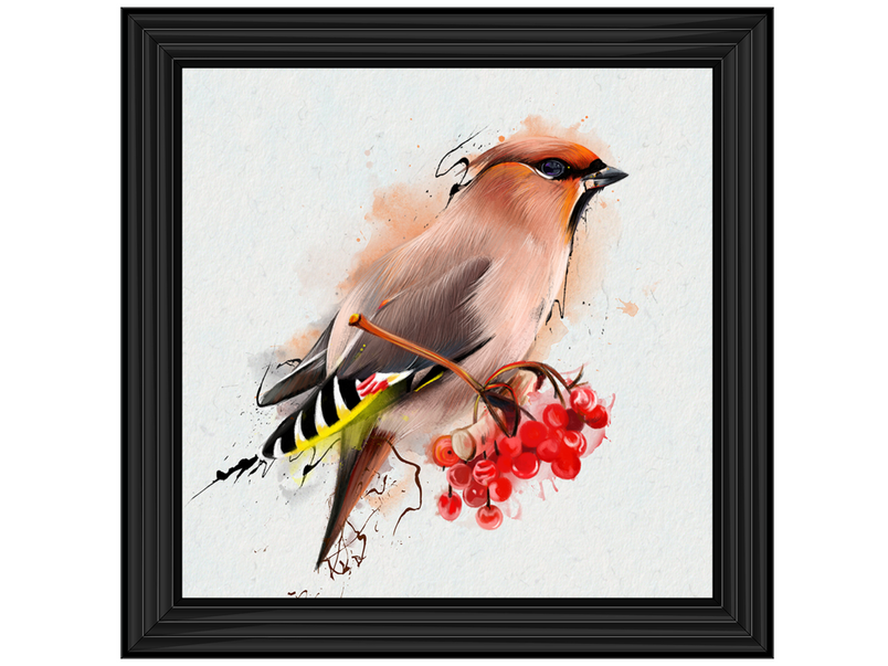 The Waxwing, a songbird of passerine.