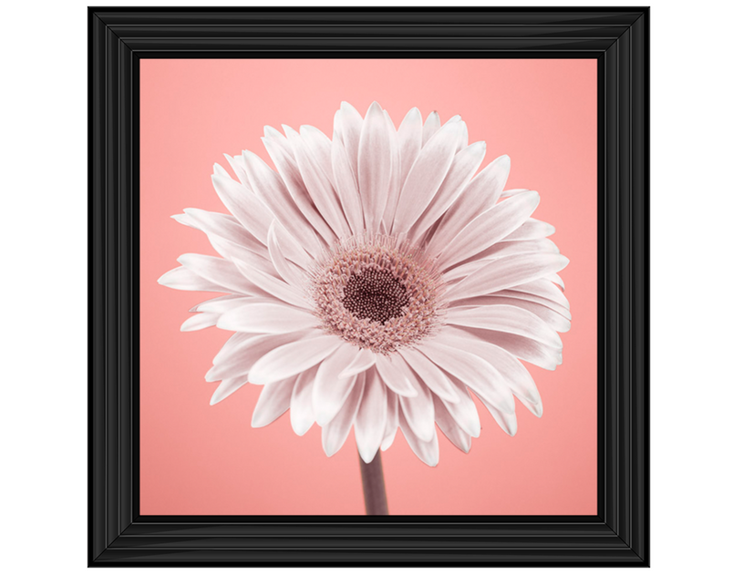 Single Gerbera Nude pink 1