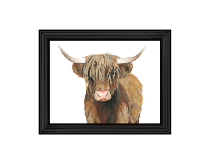 Highland Cattle II