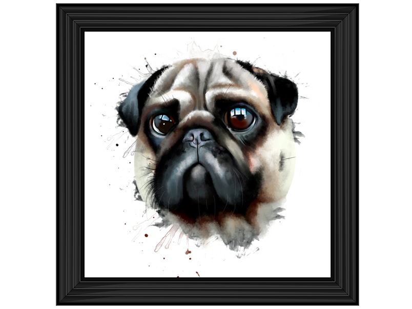 Portrait of a pug dog watercolor illustration