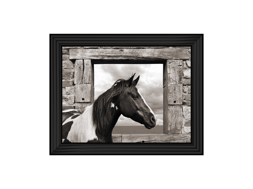 Painted Horse (BW)