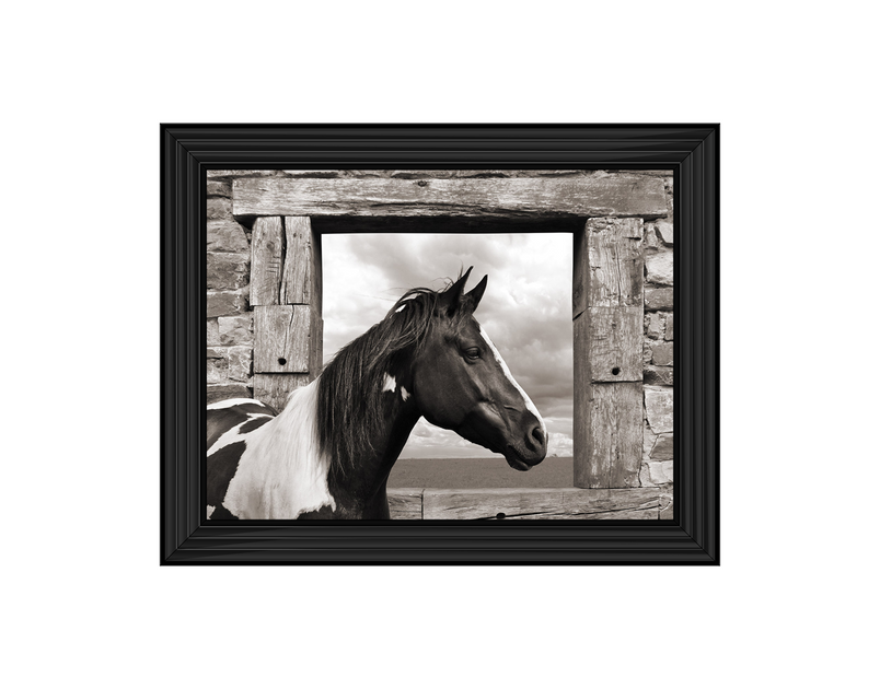 Painted Horse (BW)