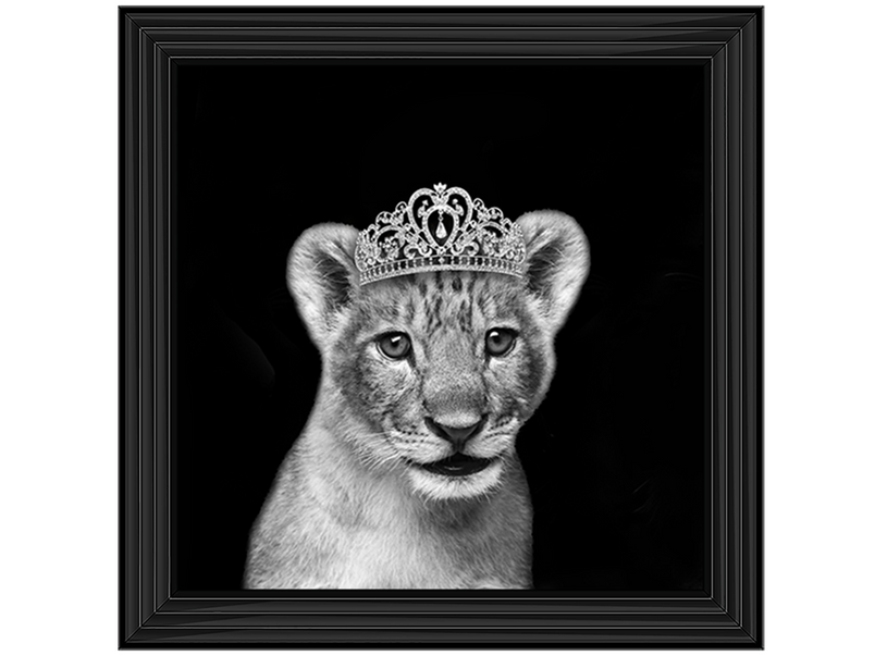 Princess Cub Silver