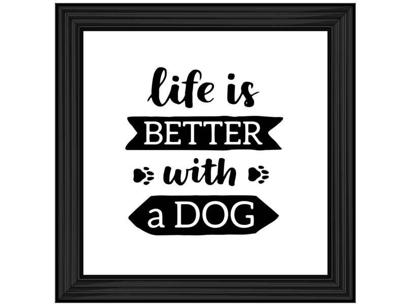 Life is better with a dog