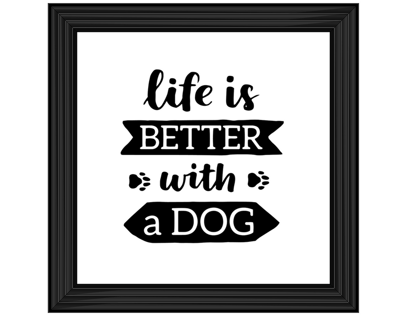 Life is better with a dog