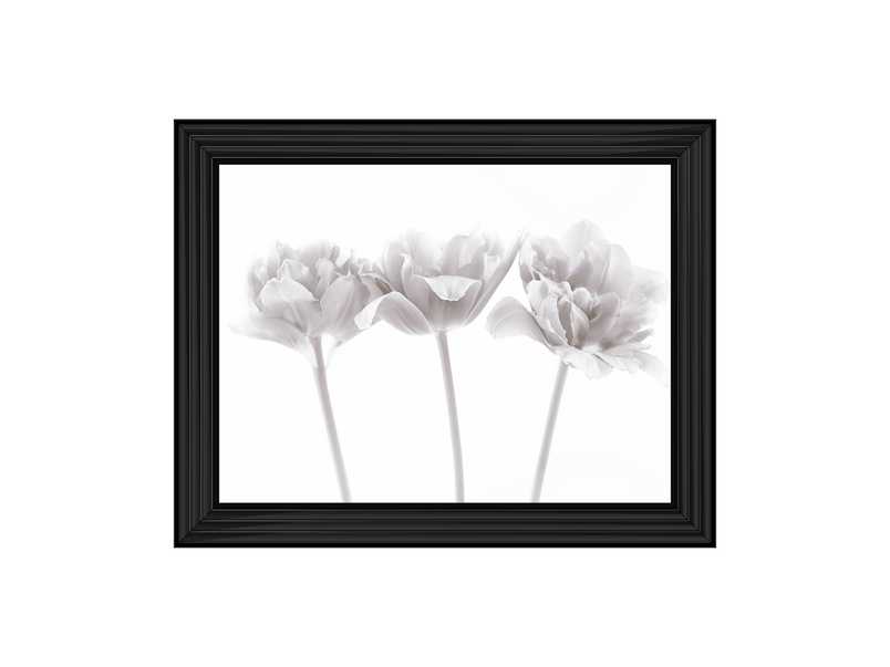 Set of 3 flowers