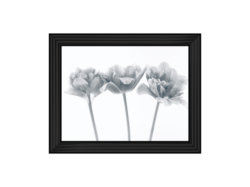 Set of 3 flowers II