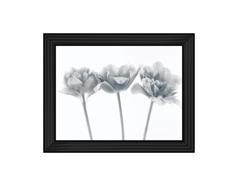 Set of 3 flowers II