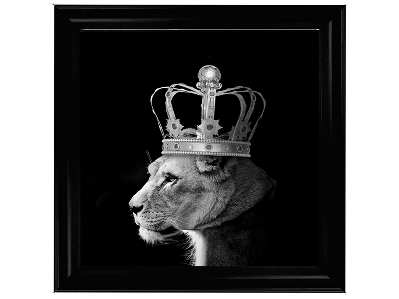 Queen Lion Silver