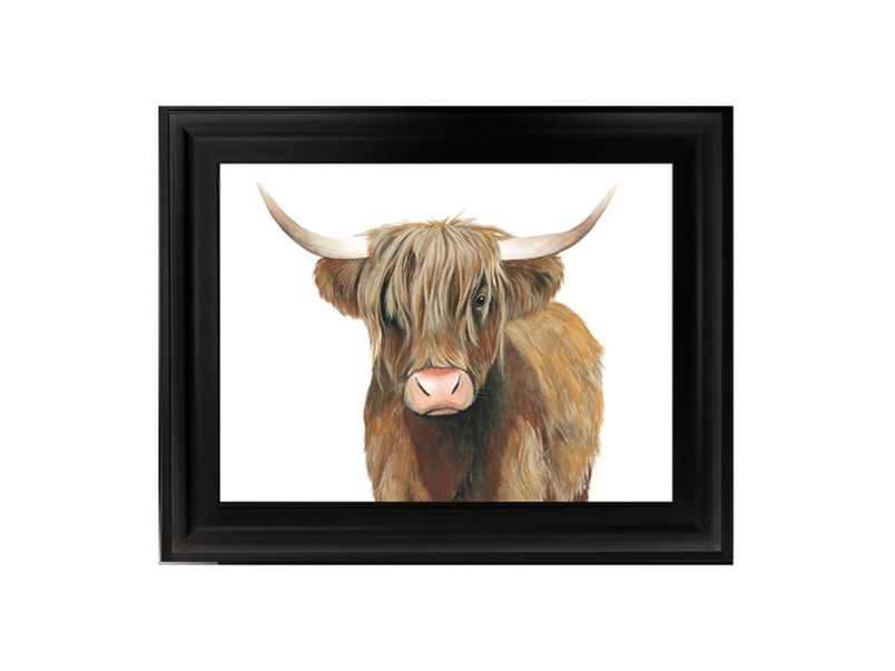 Highland Cattle II