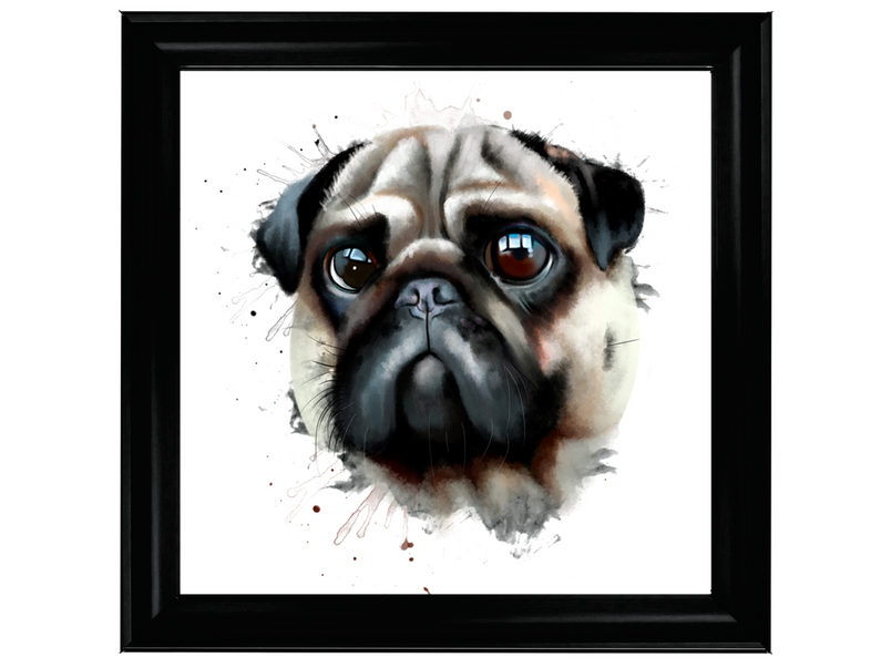 Portrait of a pug dog watercolor illustration