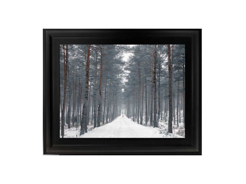 Pathway through snowy forest