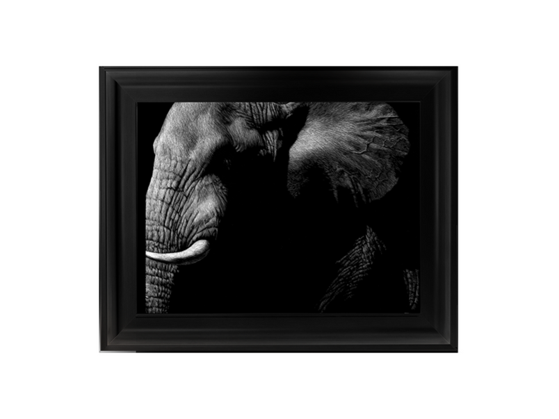 Wildlife Scratchboards III