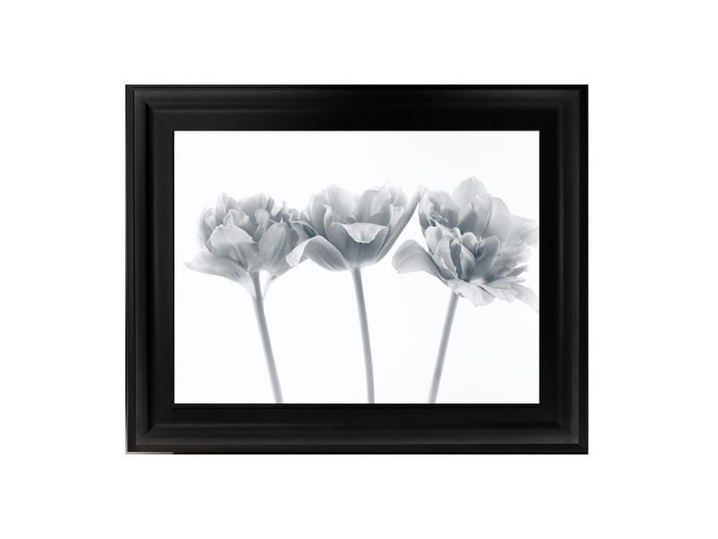 Set of 3 flowers II