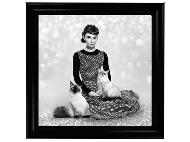 Audrey and cats II
