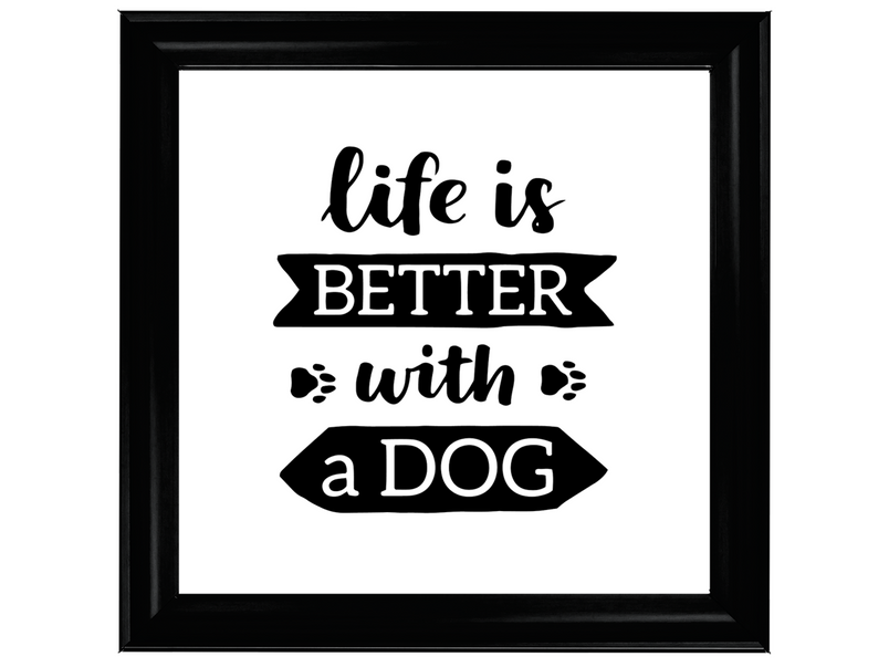 Life is better with a dog
