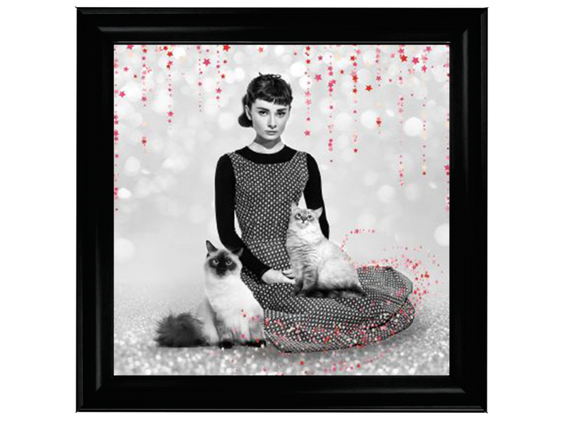 Audrey and cats