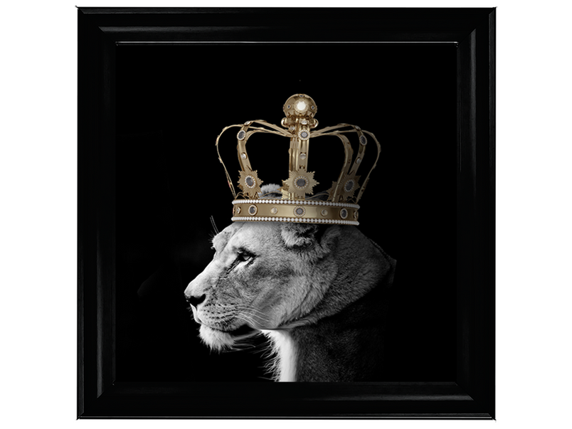 Queen Lion Gold