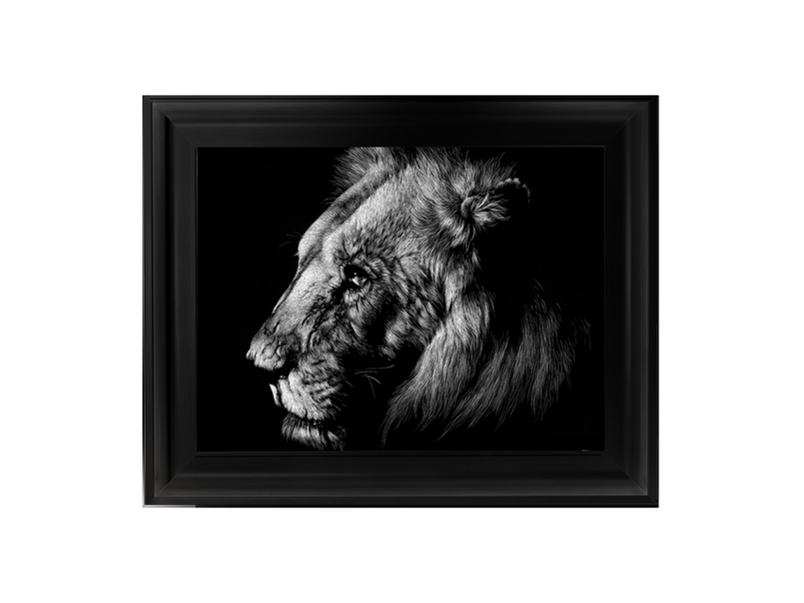 Wildlife Scratchboards I