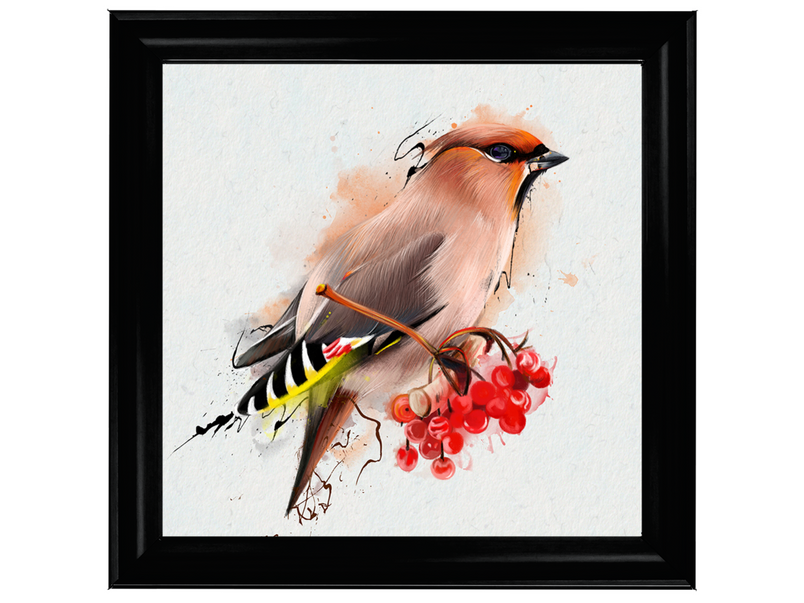 The Waxwing, a songbird of passerine.