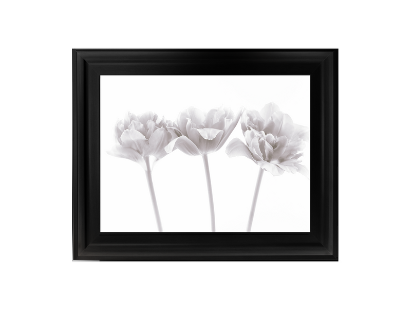 Set of 3 flowers